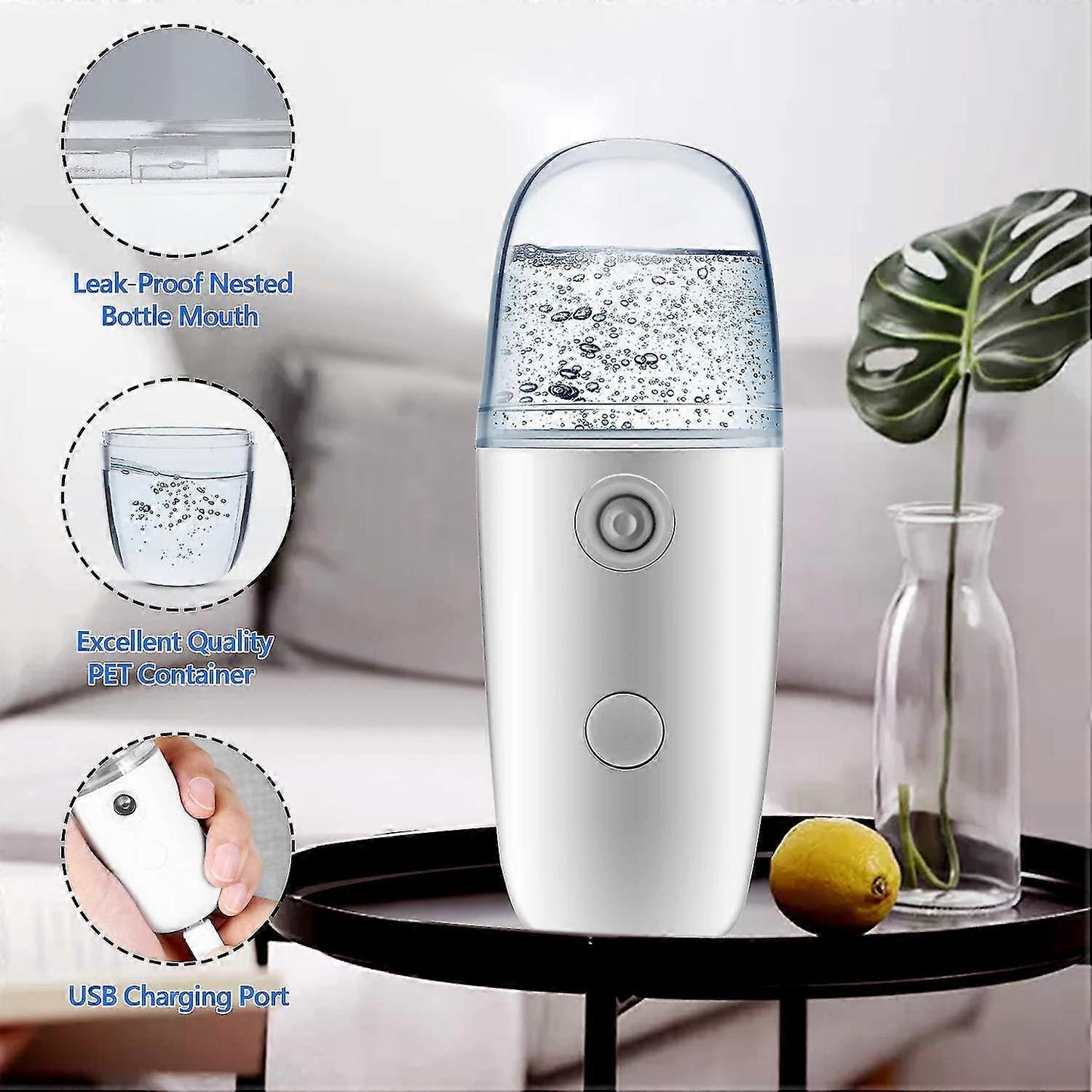 Nebulizzatore Viso Ricaricabile